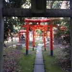 Red archways in Japan